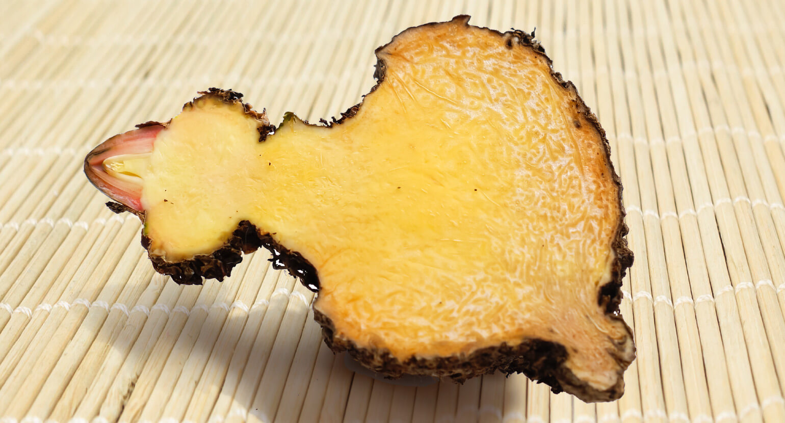 Natural Pharmaceuticals ReduXin Forte Konjako gumbų skerspjūvis, su gelsvu vidumi ir tamsesne, šiurkščia odele, padėtas ant bambukinės kilimėlės.