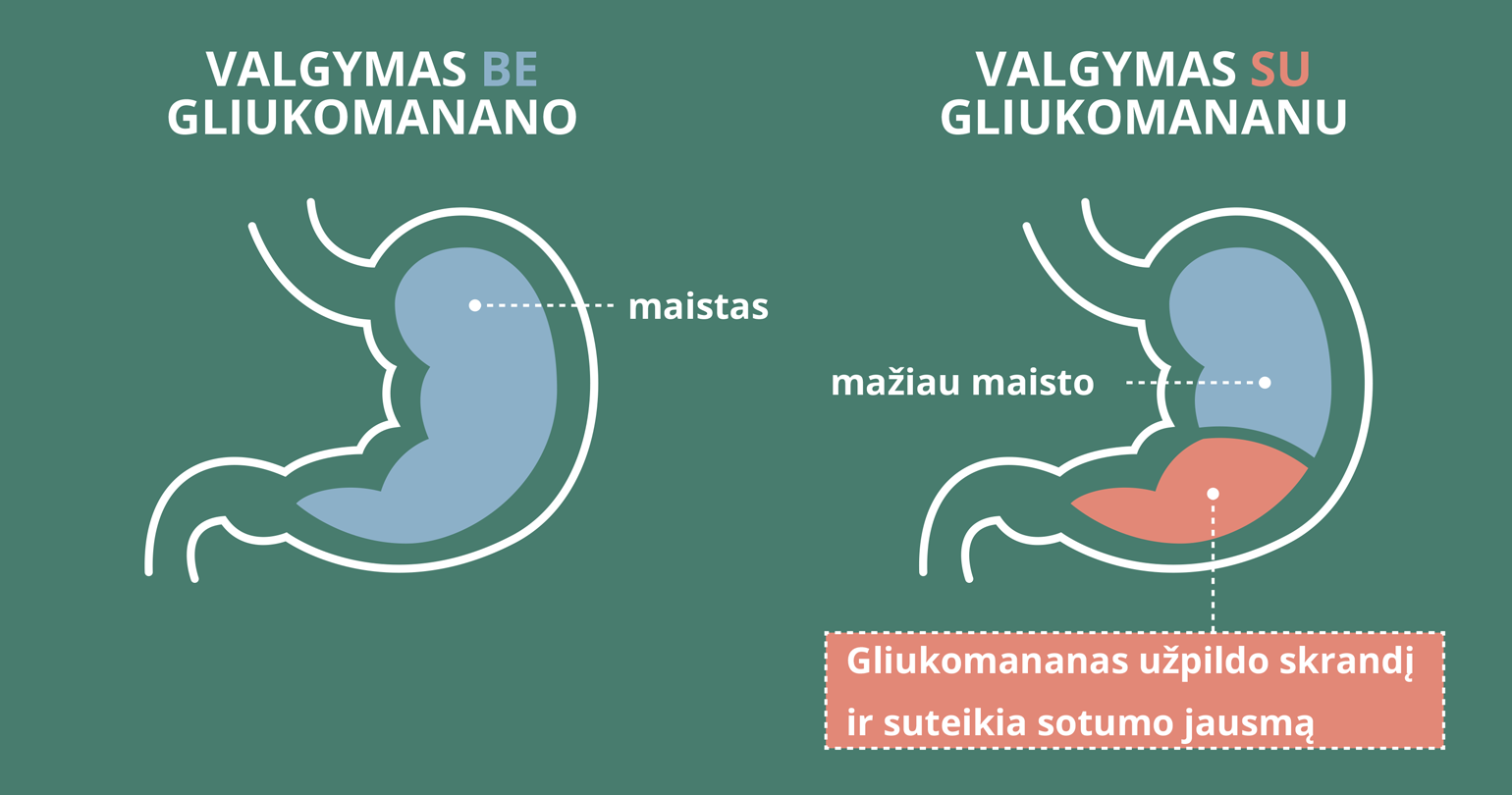 Natural Pharmaceuticals ReduXin Forte Lyginamoji iliustracija, rodanti gliukomanano veikimą skrandyje. Kairėje – tik maistu užpildyto skrandžio schema. Dešinėje – iš dalies maistu ir papildomai gliukomananu užpildytas skrandis, dėl kurio jame yra mažiau maisto.