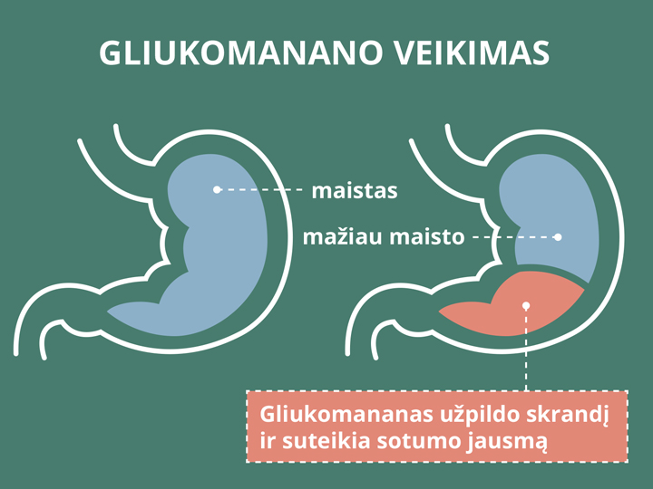 Natural Pharmaceuticals ReduXin Forte Kaip gliukomananas veikia skrandyje: kairėje pusėje skrandyje yra daugiau maisto, o dešinėje pusėje gliukomananas užima dalį tūrio, todėl skrandyje yra mažiau maisto. Gliukomananas užpildo skrandyje ir suteikia sotumo jausmą.